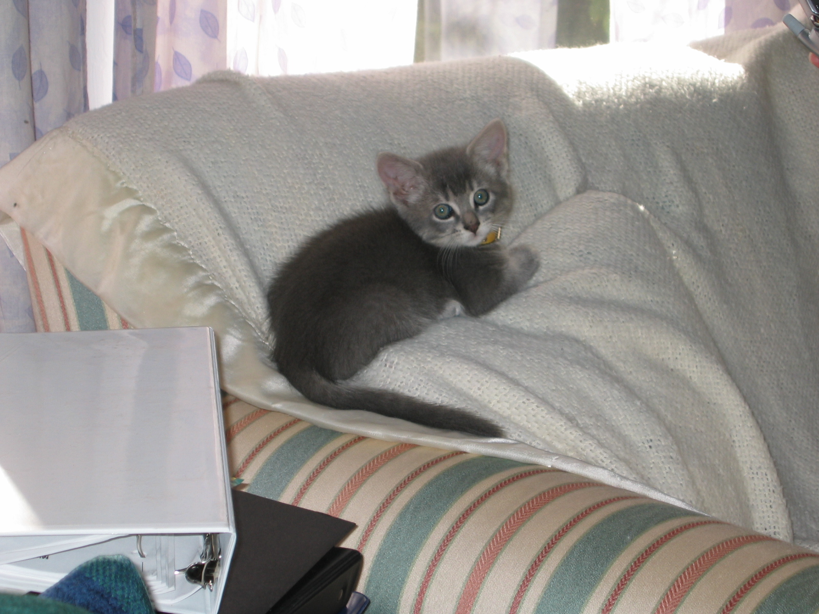 Still little, still cute